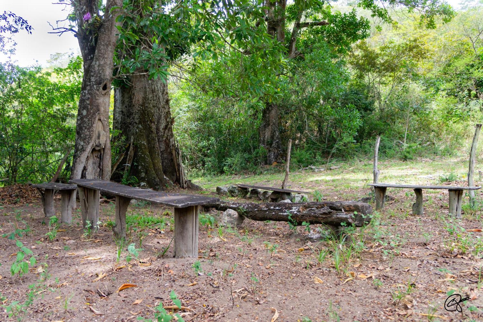 Fazenda Brejo 農家樂